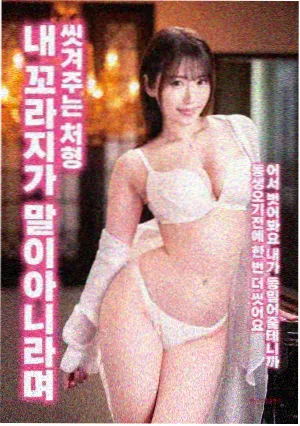 候鸟航线 剧情片海报